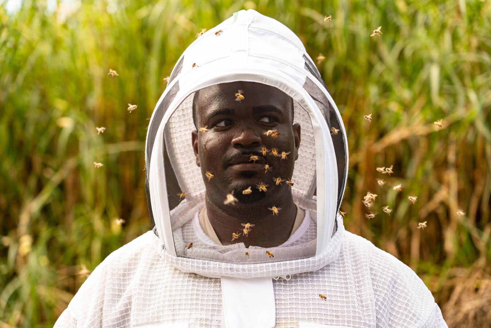Ben, the bee removal specialist who founded Ben & Bees, in a beekeeping suit and veil with honeybees flying around him.