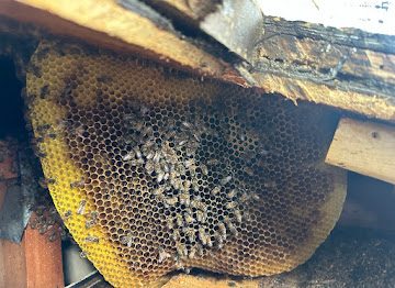 Honeycomb inside building structure